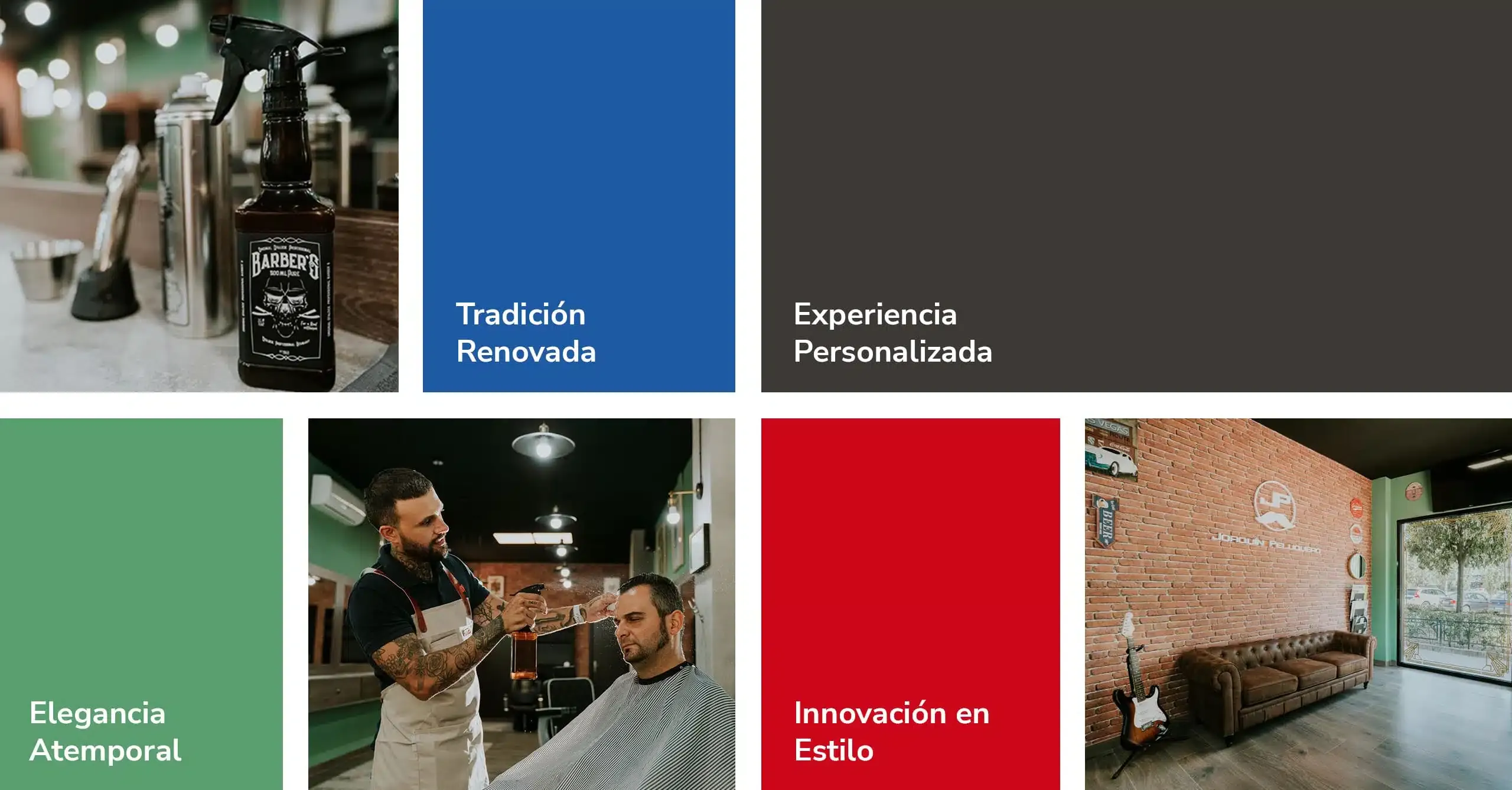 Joaquín Peluquero project