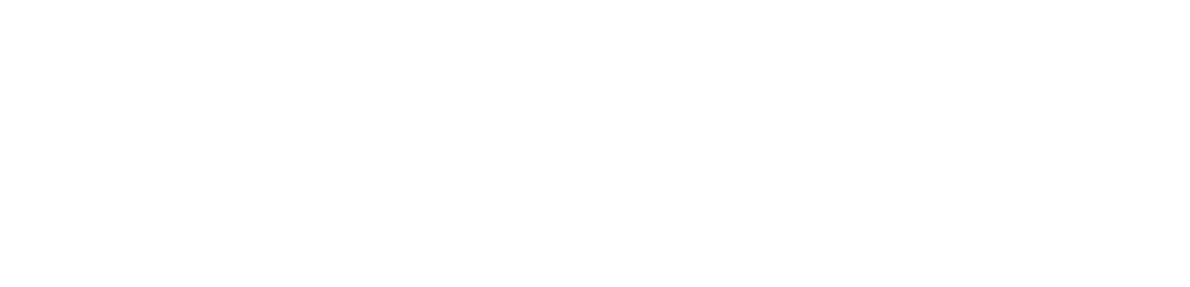 Nodosnet - Smart Digital Agency