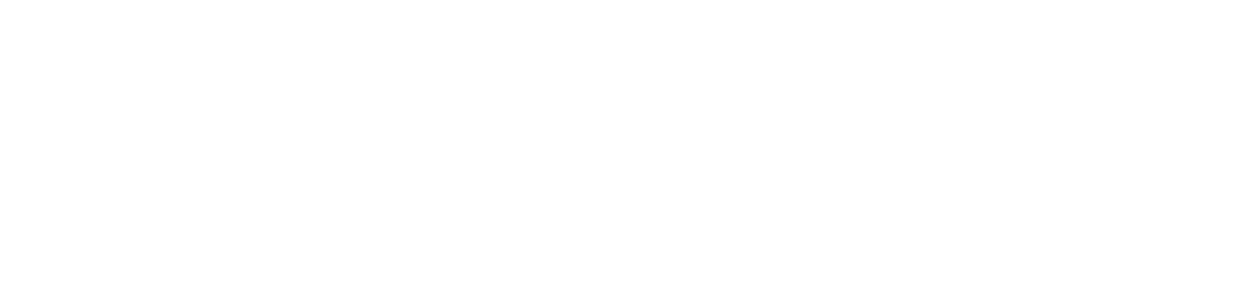 Nodosnet - Smart Digital Agency